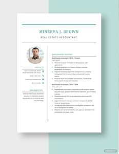 Download Real Estate Accountant Resume for free