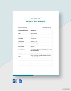 Download School Incident Report Form Template for free
