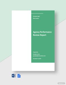 Download Agency Performance Review Report Template for free