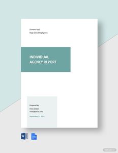 Download Individual Agency Report Template for free