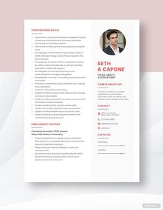 Download Fixed Asset Accountant Resume for free