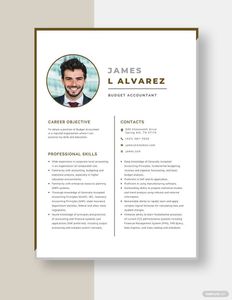 Download Budget Accountant Resume for free