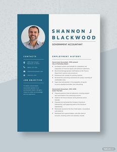 Download Government Accountant Resume for free
