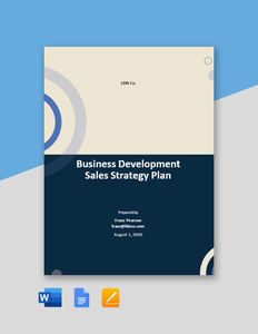 Download Business Development Sales Strategy Plan Template for free