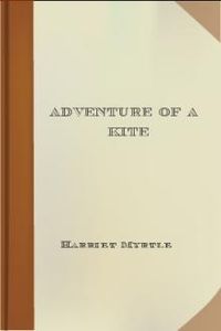 Download Adventure of a Kite for free
